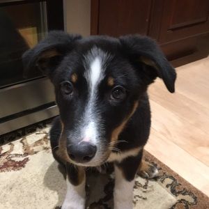 Meet your Posher, Mary